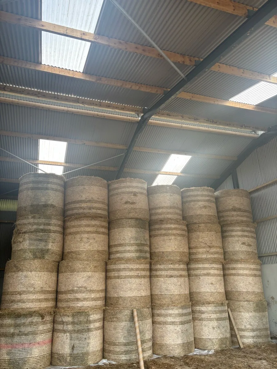 300 Round bales of Hay - Image 2