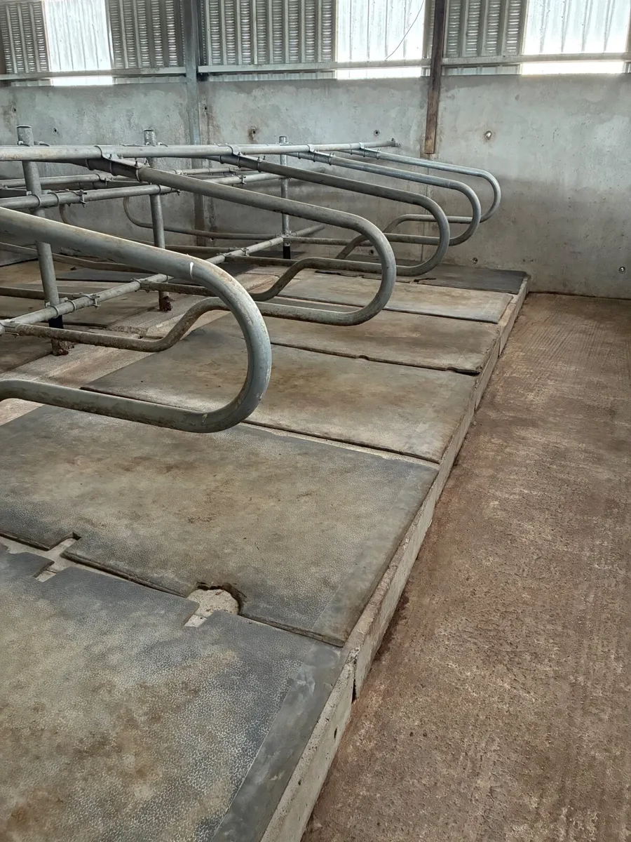 Cow cubicles - Image 3