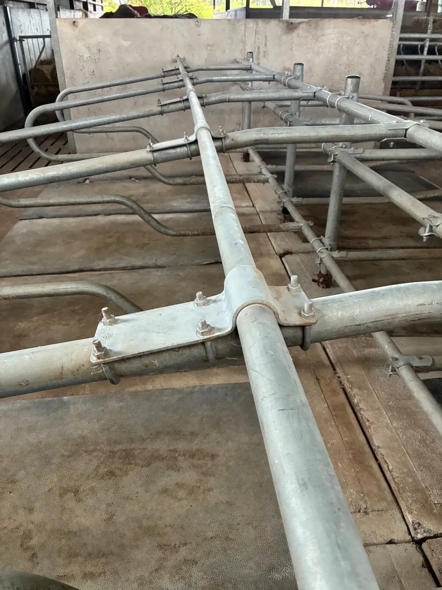 Cow cubicles - Image 2