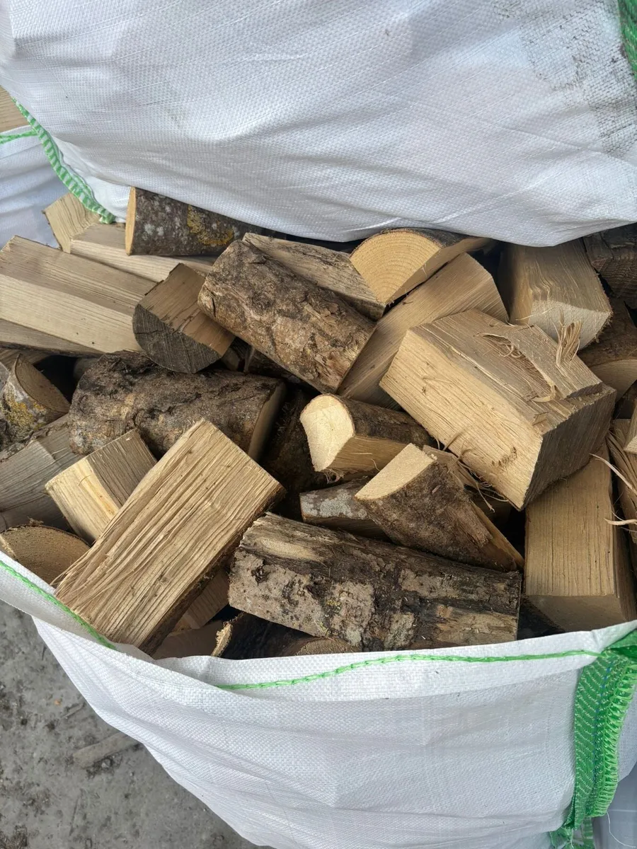 Seasoned Firewood - Image 3