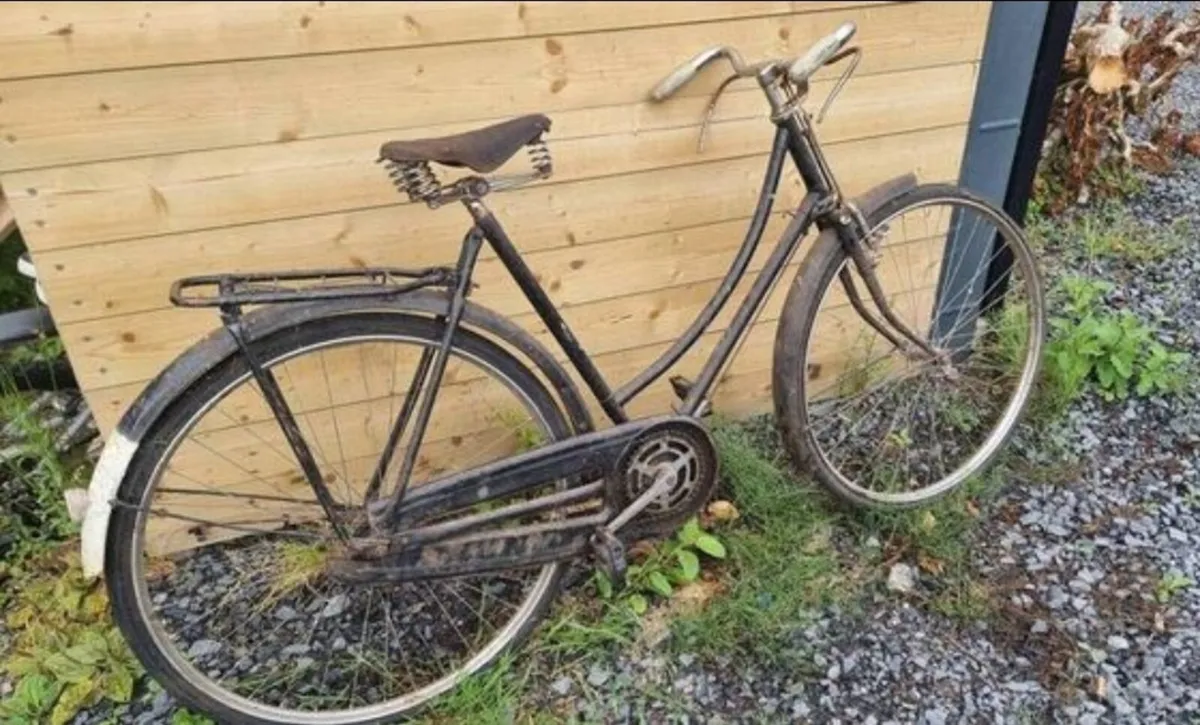 2 high nellys for sale - Image 2