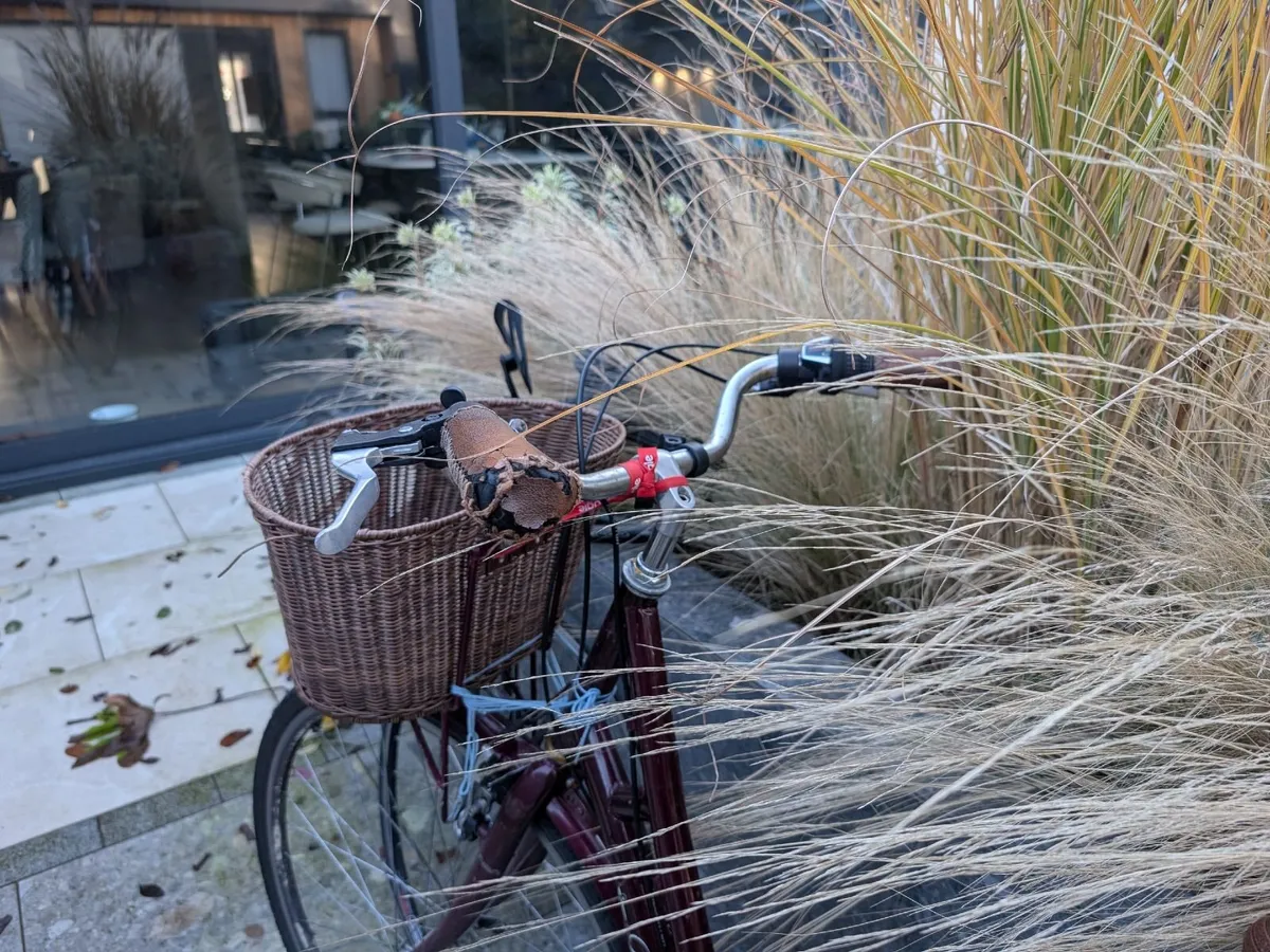 Raleigh ladies bike - Image 2