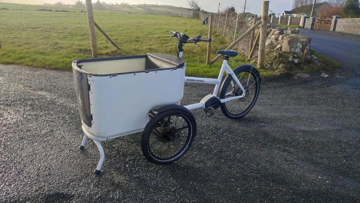 cergo 3-wheel Bosch e-bike - Image 1