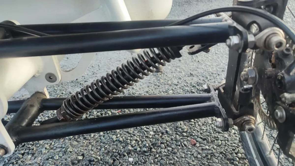 cergo 3-wheel Bosch e-bike - Image 3