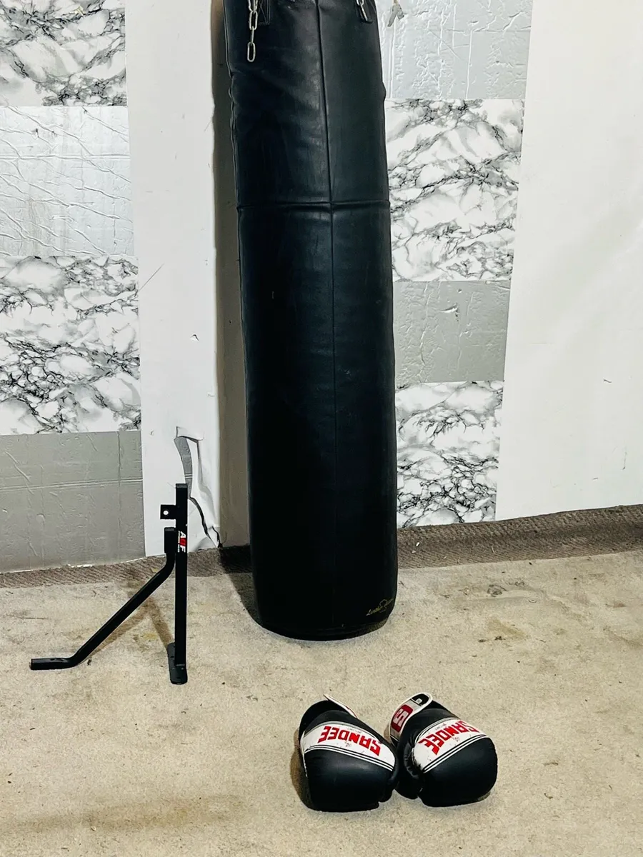 60KG PUNCH BAG WITH GLOVES AND BRACKET - Image 3