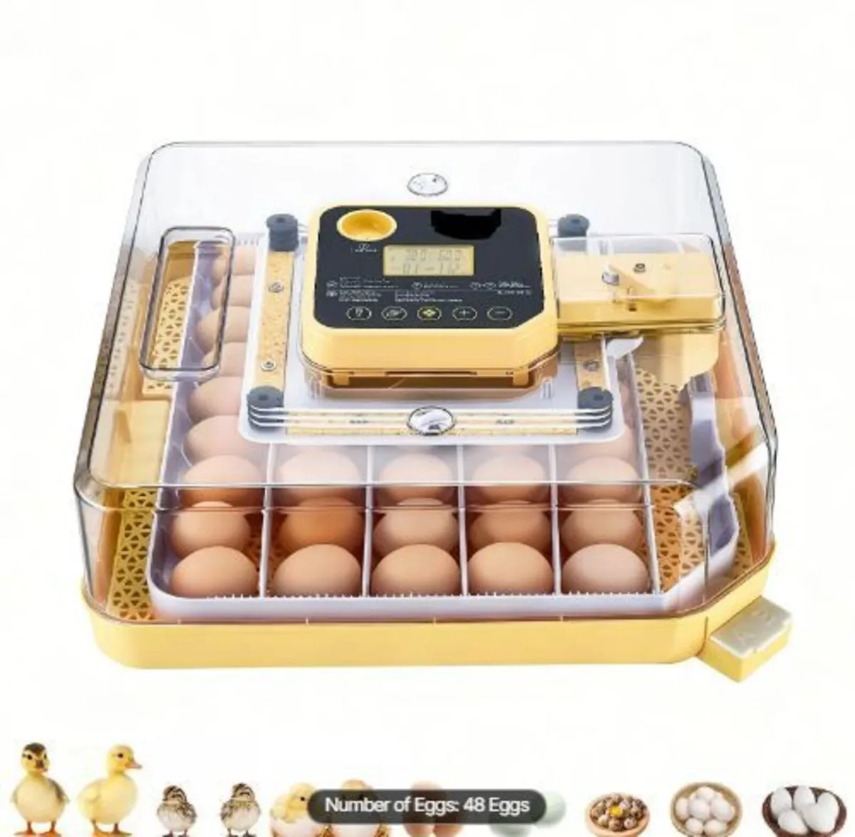 48 Egg Incubator, Automatic Egg Turner - Image 2