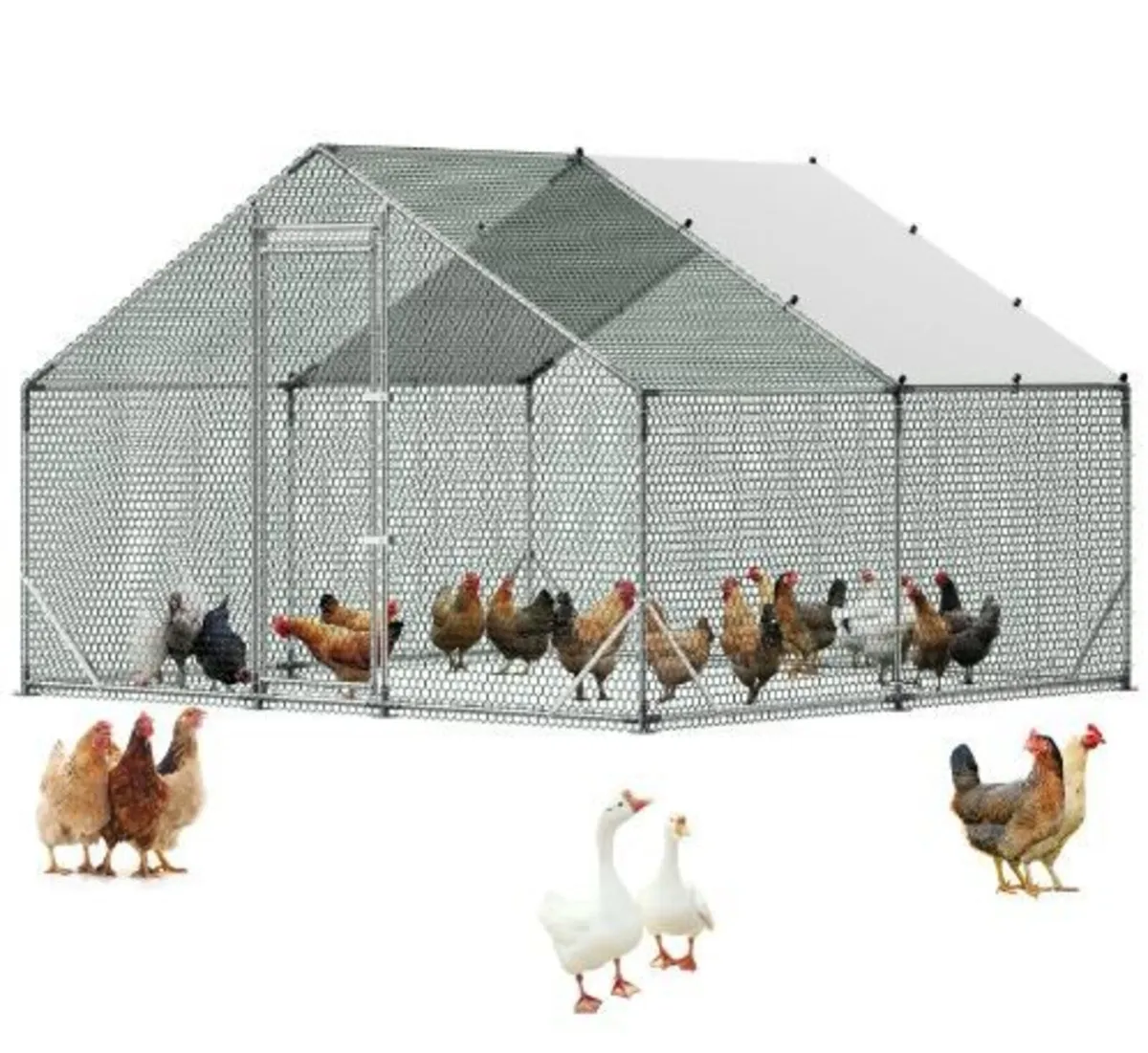 Large Metal Chicken Coop, 3 x 3 x 2 m - Image 4