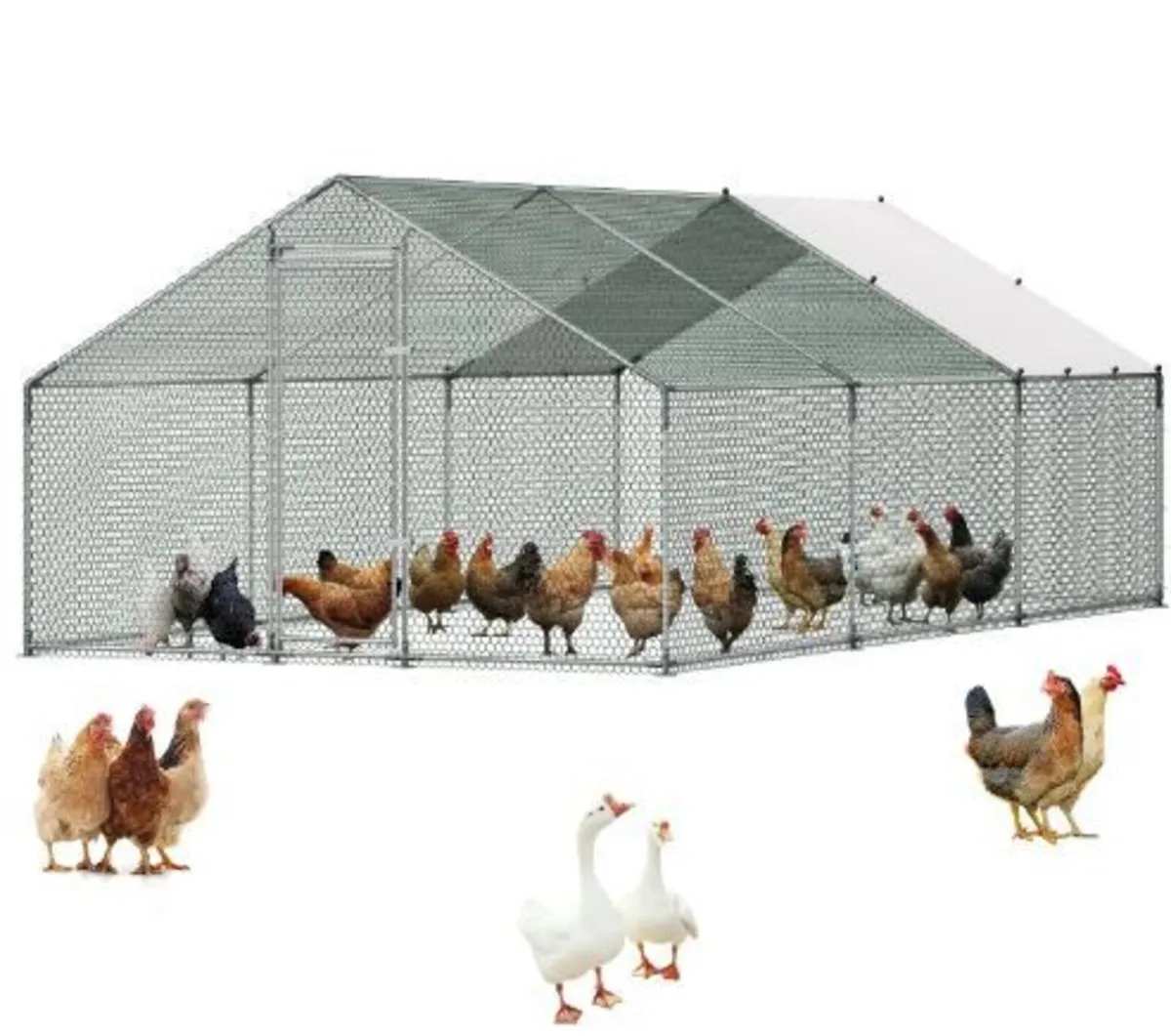 Large Metal Chicken Coop 3 x 5.95 x 2 m - Image 4