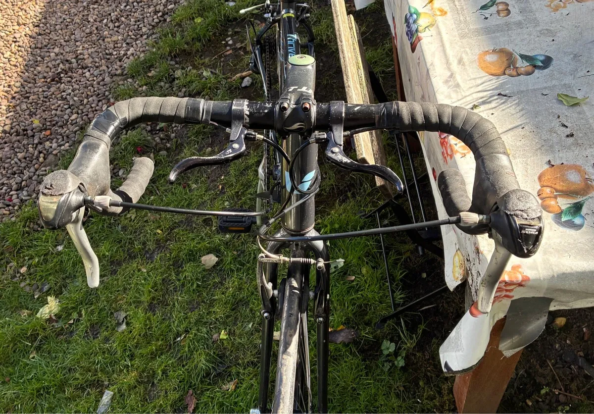 Racing bike - Image 3