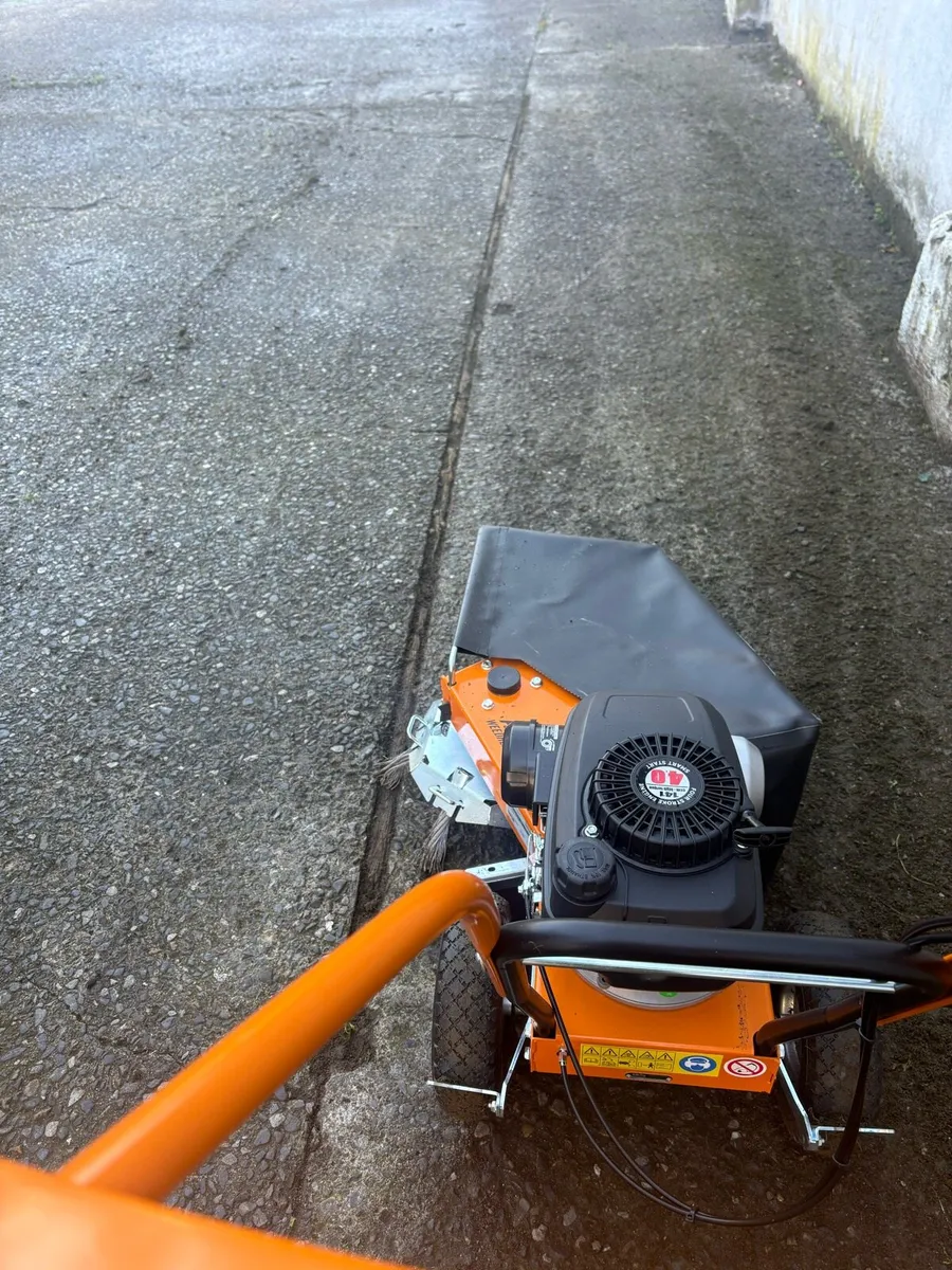 AS Motor 30 Weedhex wire brush - Image 3