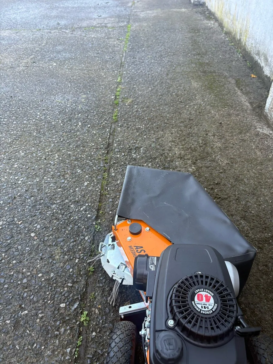 AS Motor 30 Weedhex wire brush - Image 2