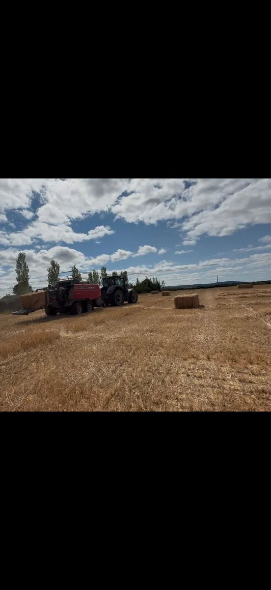 David Owens Agri - Barley Straw - Image 4