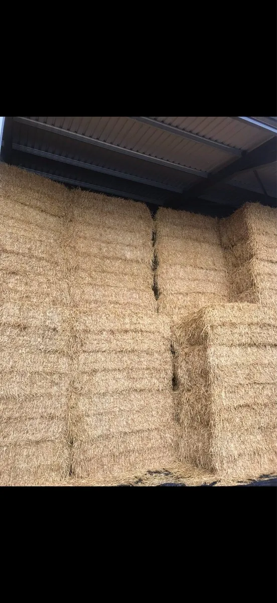 David Owens Agri - Barley Straw - Image 3
