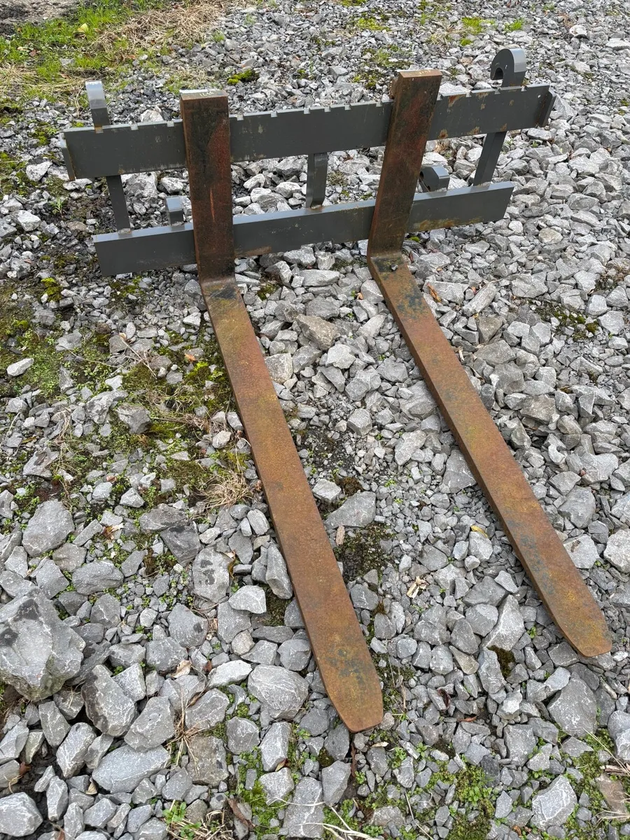 Dromone Pallet Forks - Image 1