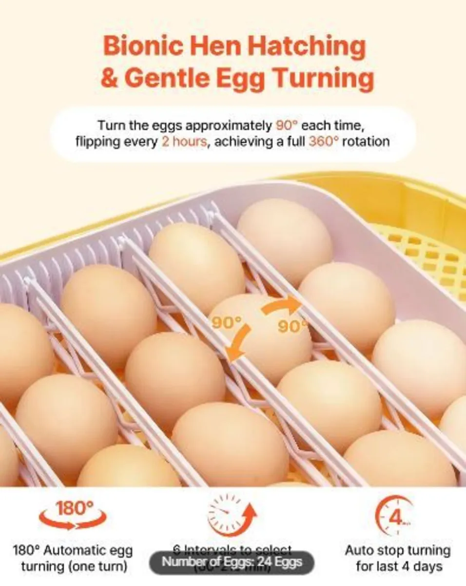 24 Egg Incubator, Automatic Egg - Image 2