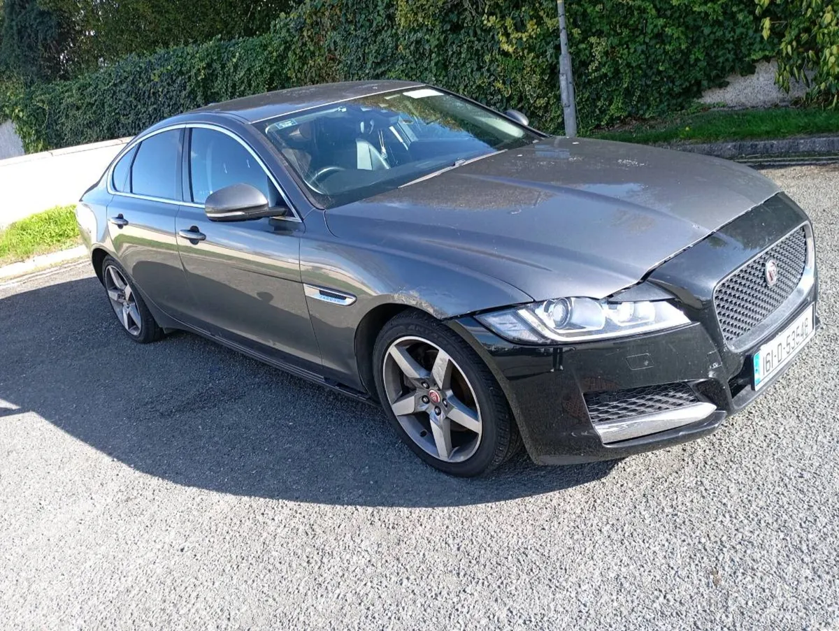Xf - Image 1