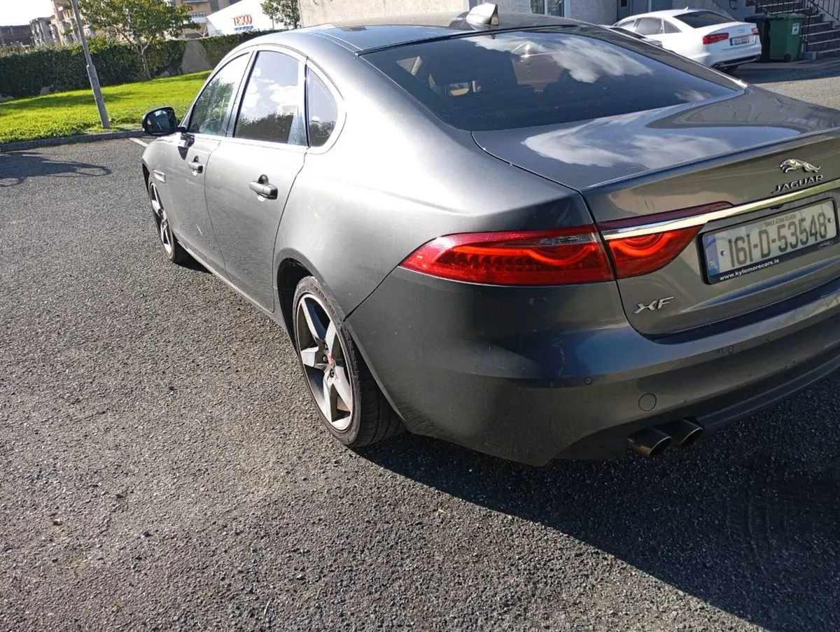 Xf - Image 3
