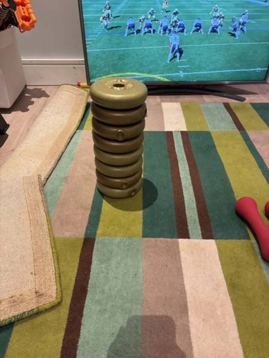 dumbbell plates - Image 1