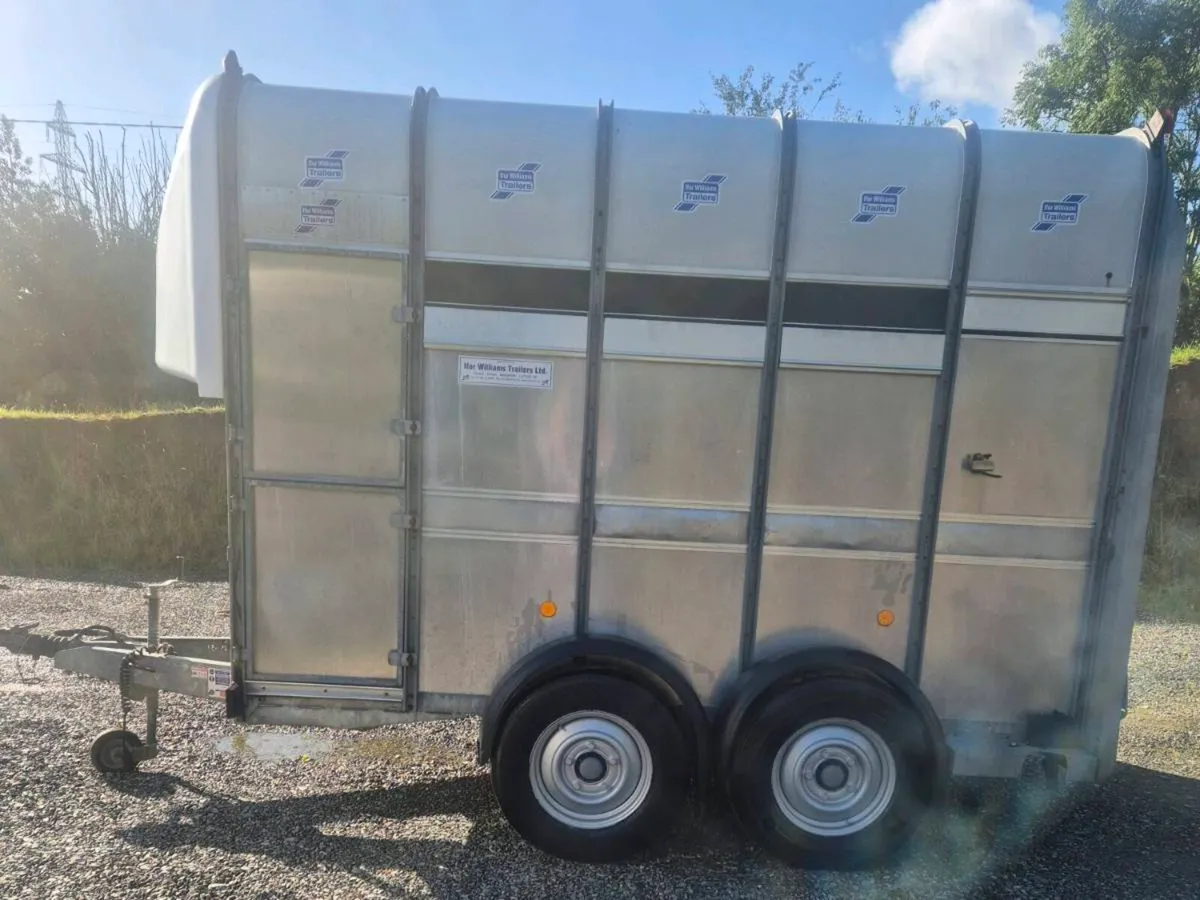 Ifor williams 10 x 6 high roof - Image 4