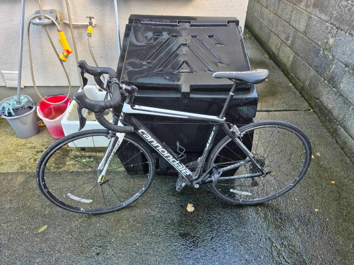 Cannondale Carbon Bike