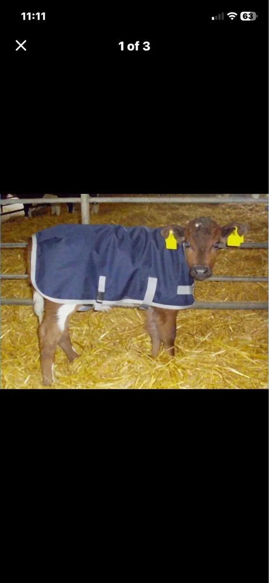 Calf jackets - Image 1
