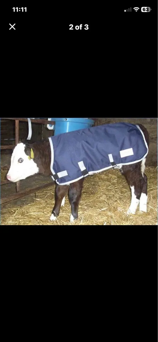 Calf jackets - Image 2