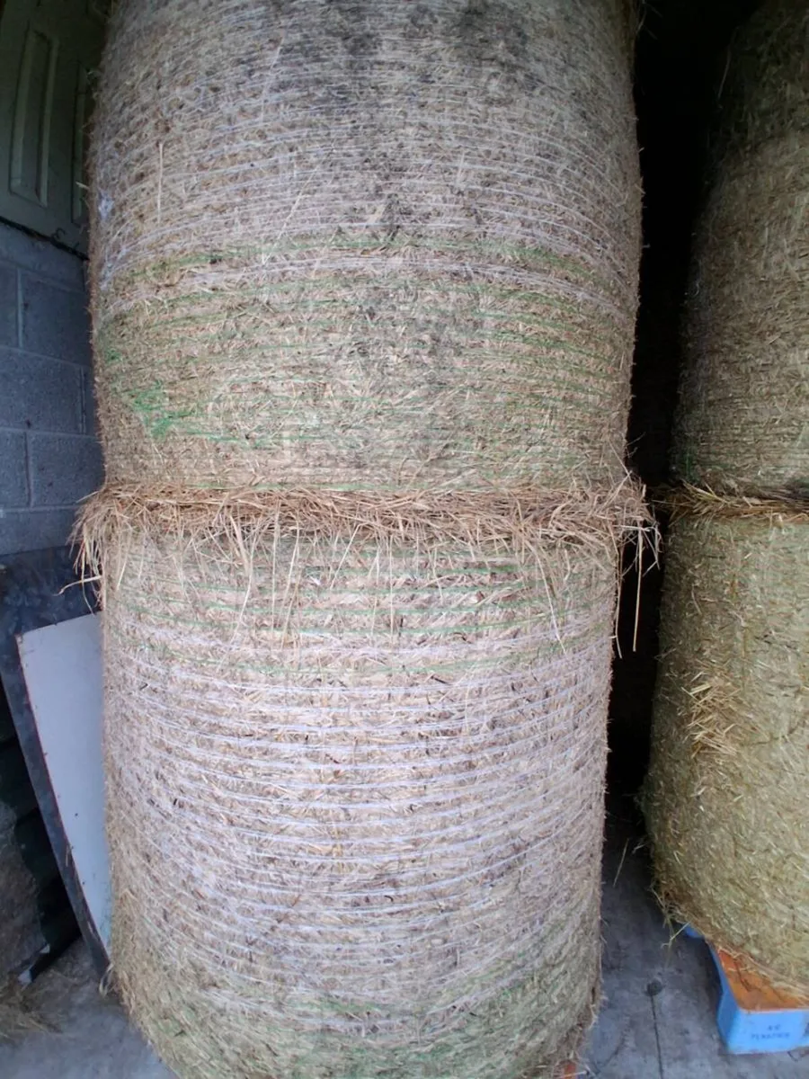 Hay - Image 1