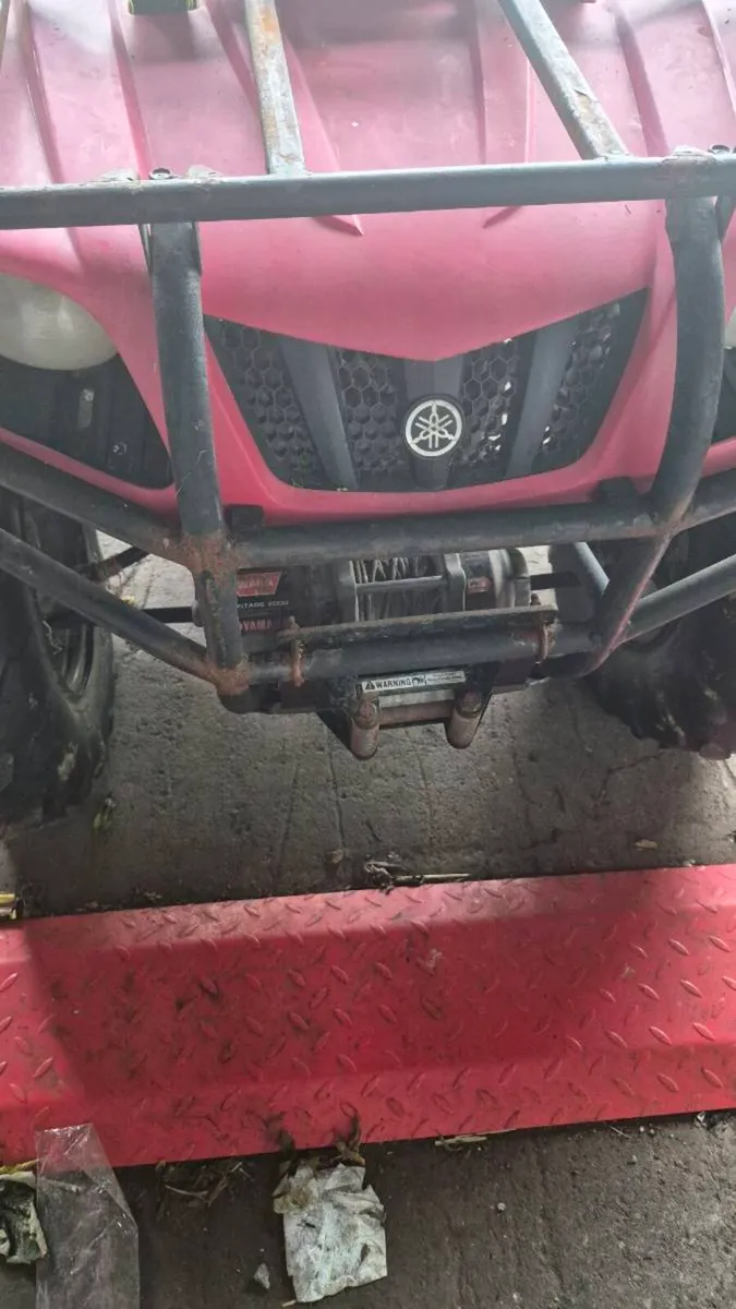 Quad bike - Image 4