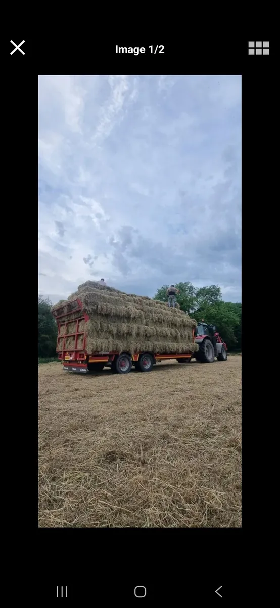 Small bales of hay and straw, round bales of hay