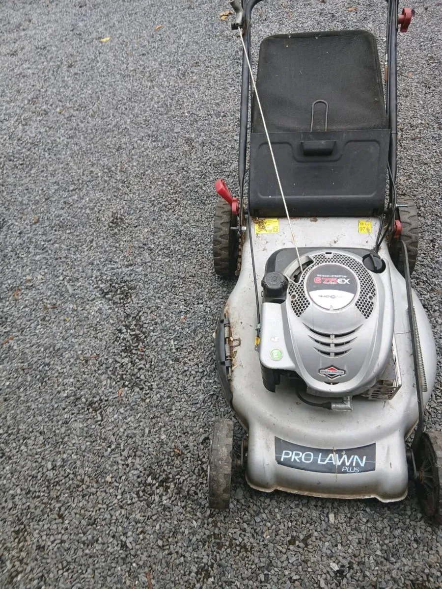 SELFDRIVE MOWER - Image 1