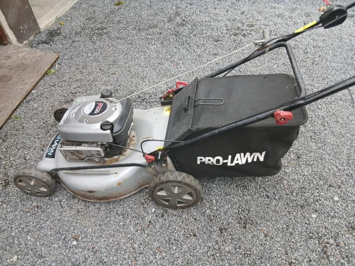 SELFDRIVE MOWER - Image 2