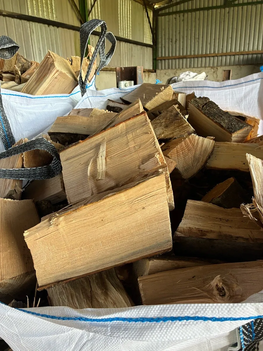 Ash Timber Firewood - Image 1