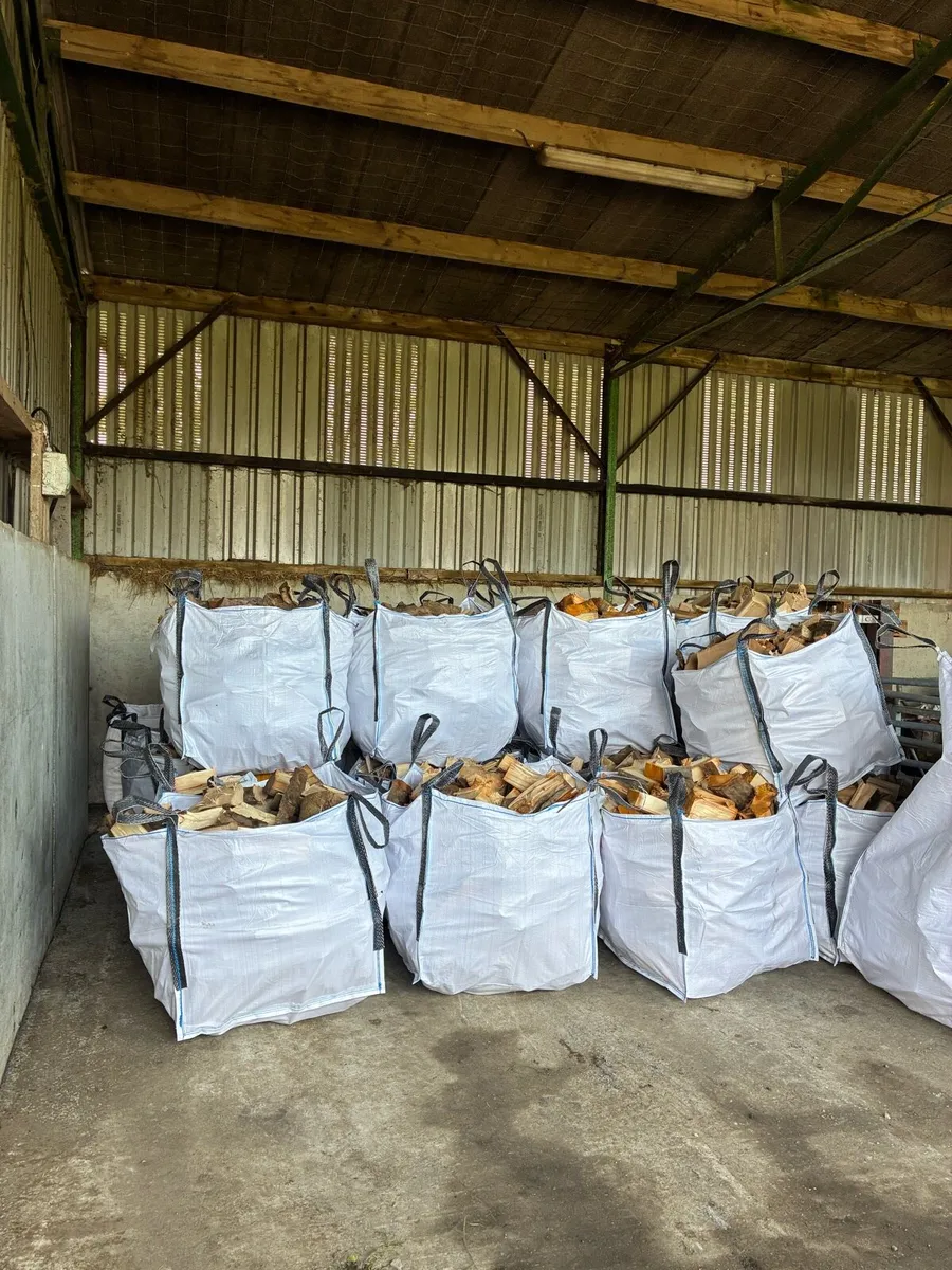 Ash Timber Firewood - Image 2