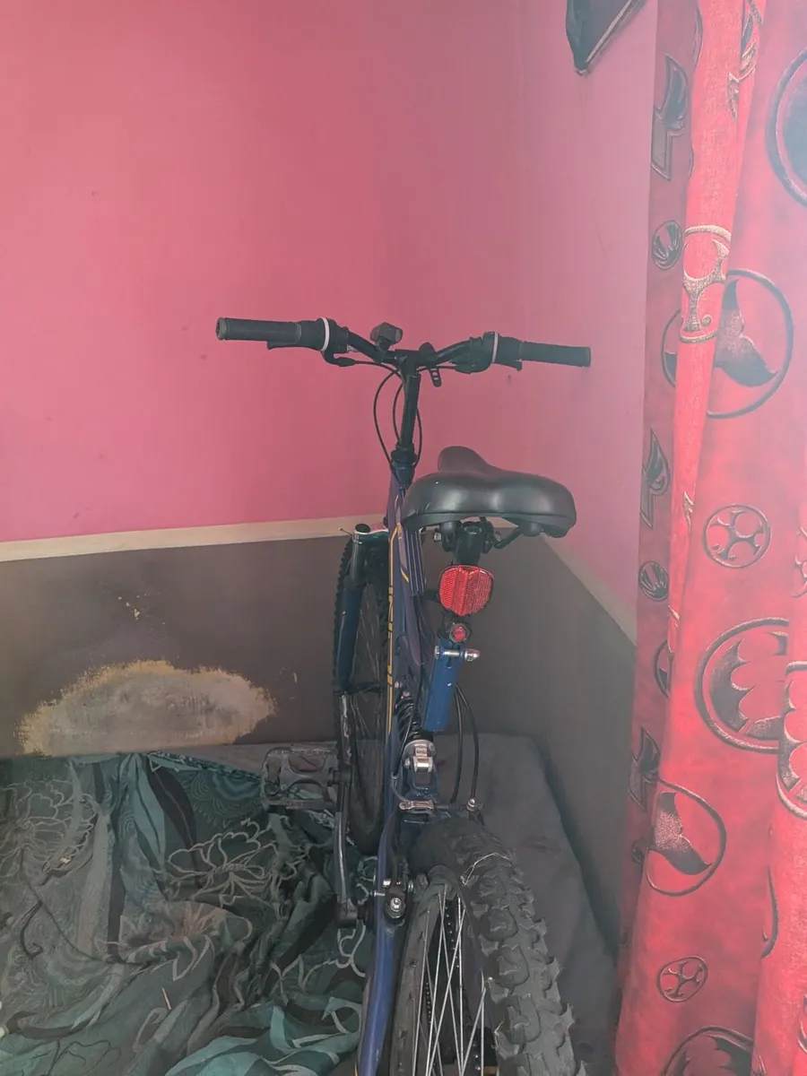 Bike - Image 1