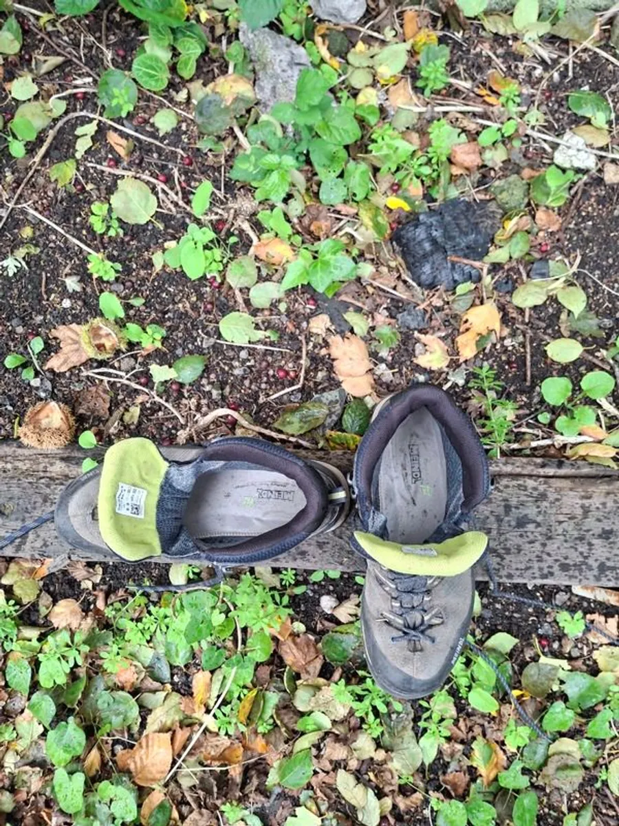 Meindl Terlan GTX Hiking Boots - Image 1