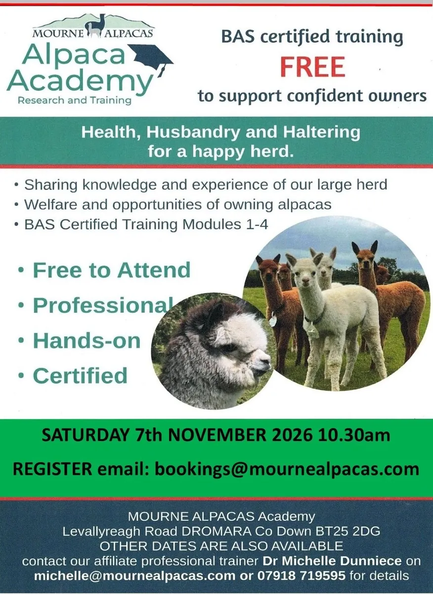 Alpacas - 7th NOV 26 certified FREE TO ATTEND - Image 1
