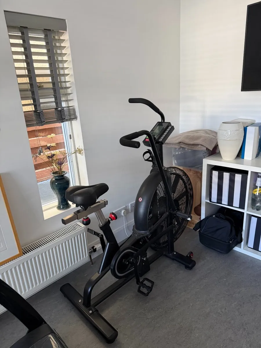 Air Bike - Image 3