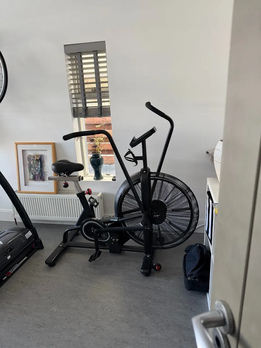 Air Bike - Image 1