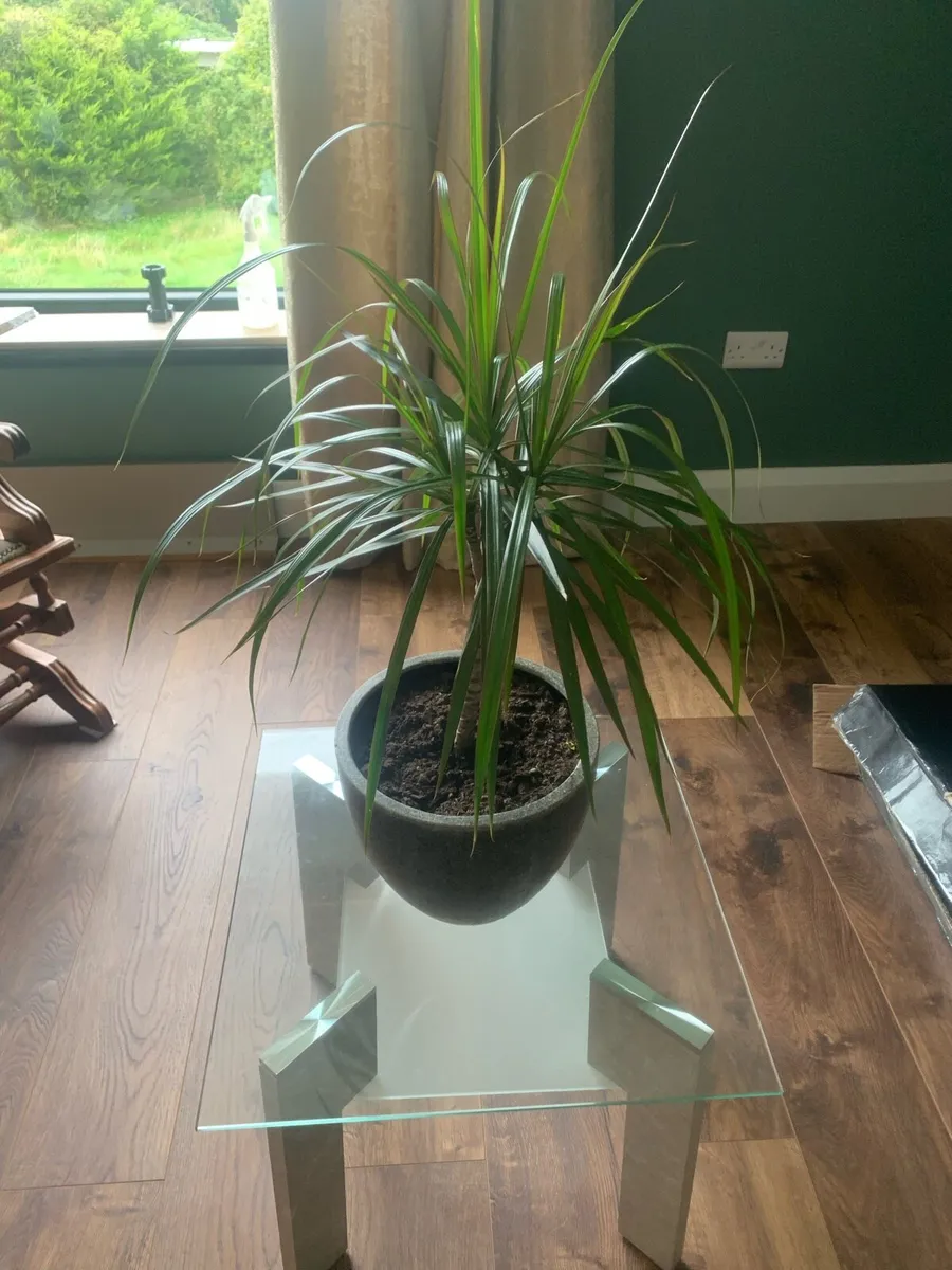 Coffee table - Image 1