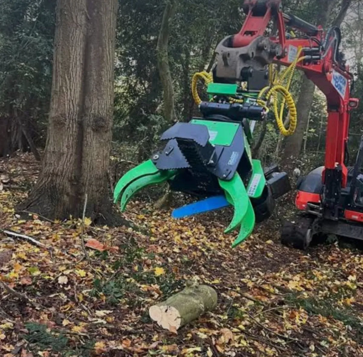 OMEF Grapple Saws For Sale - Image 2