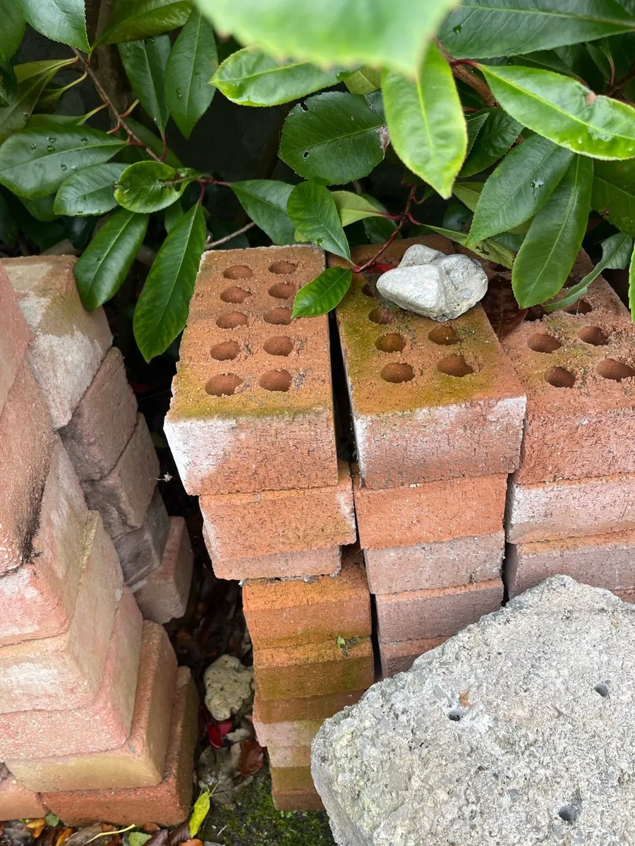 red bricks - Image 2