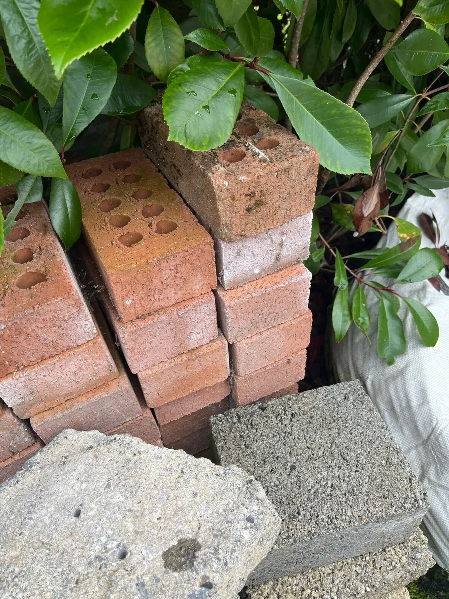 red bricks - Image 1