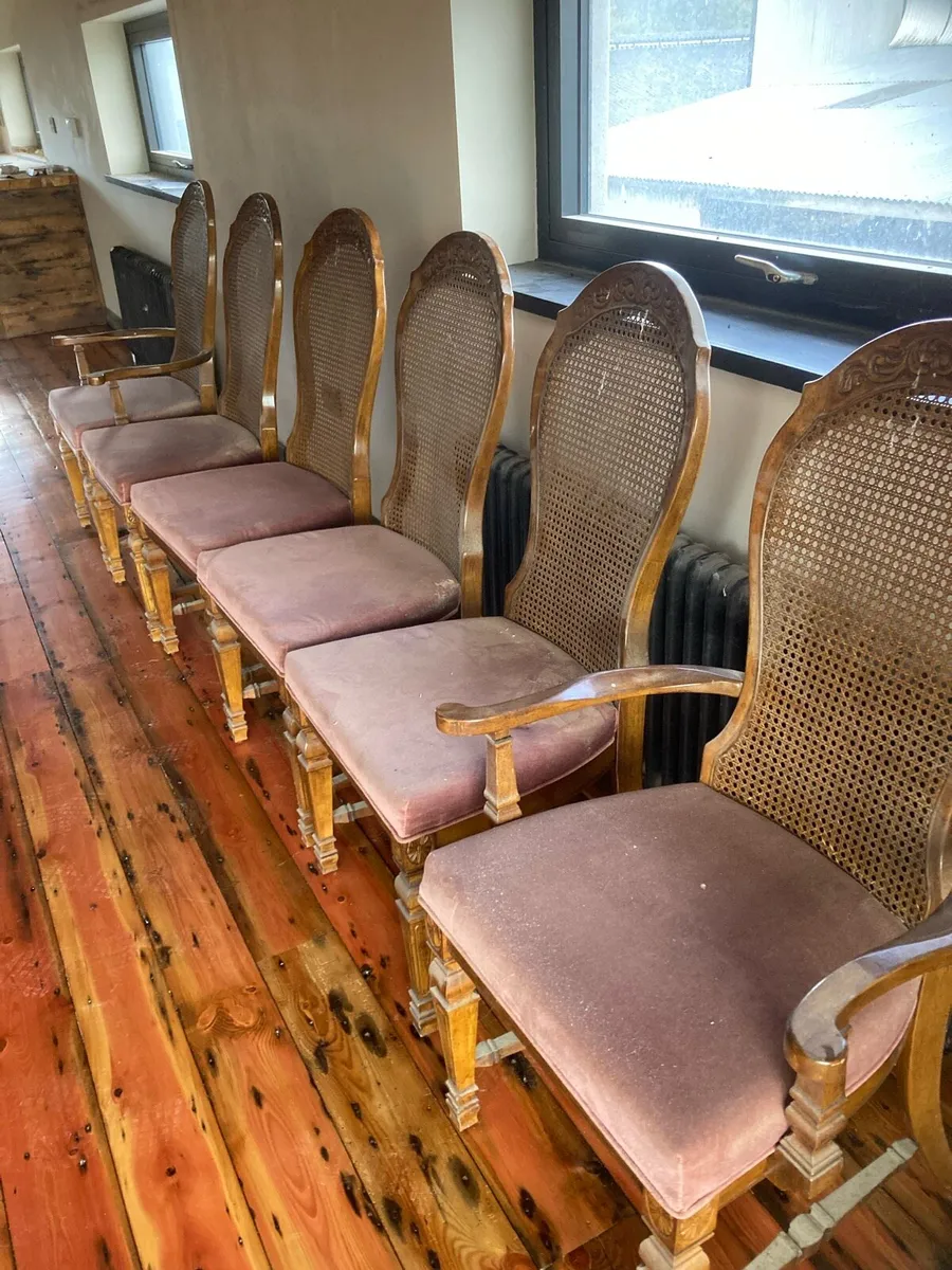 Antique dining chairs - Image 3