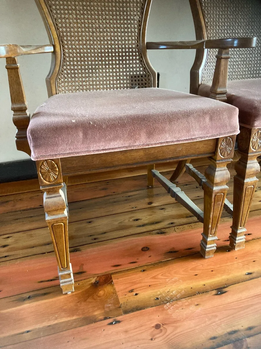 Antique dining chairs - Image 4