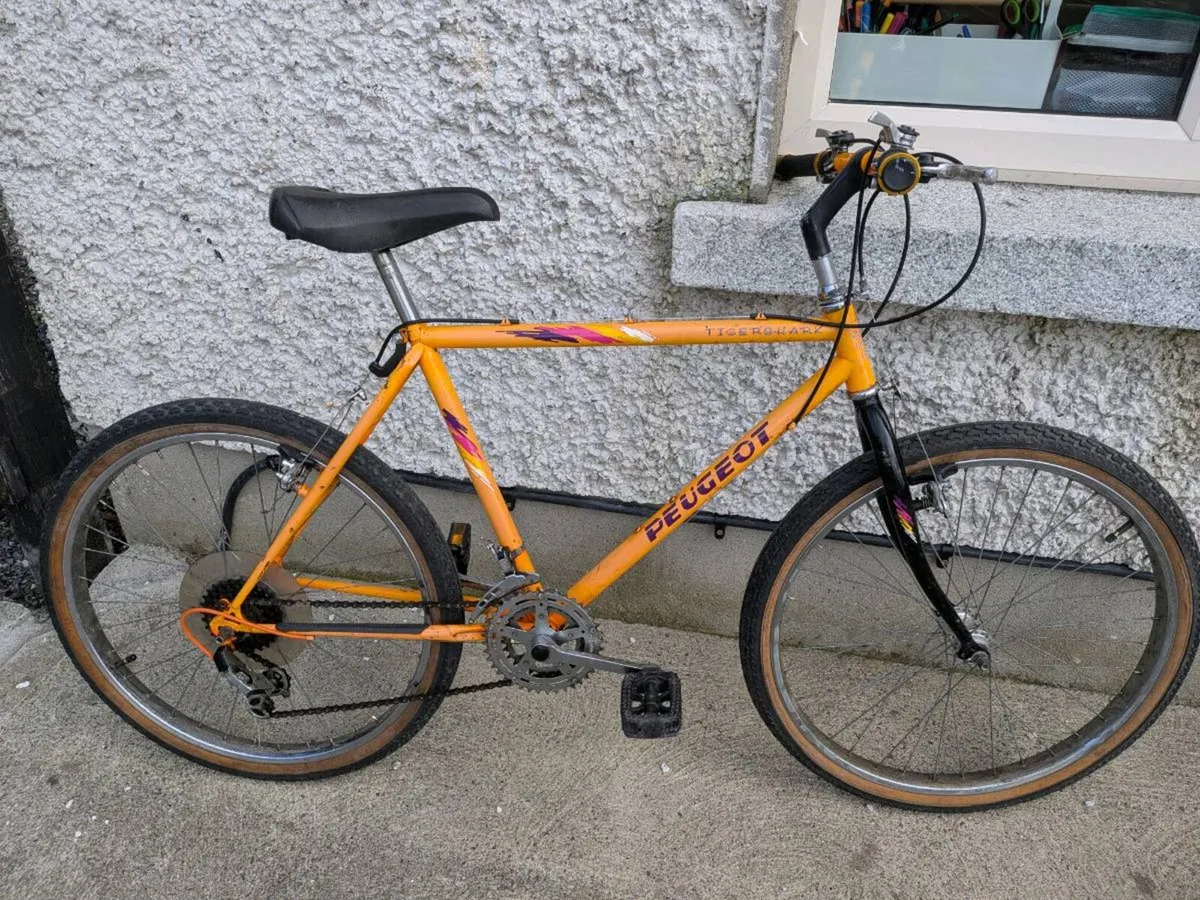 Bike - Image 1