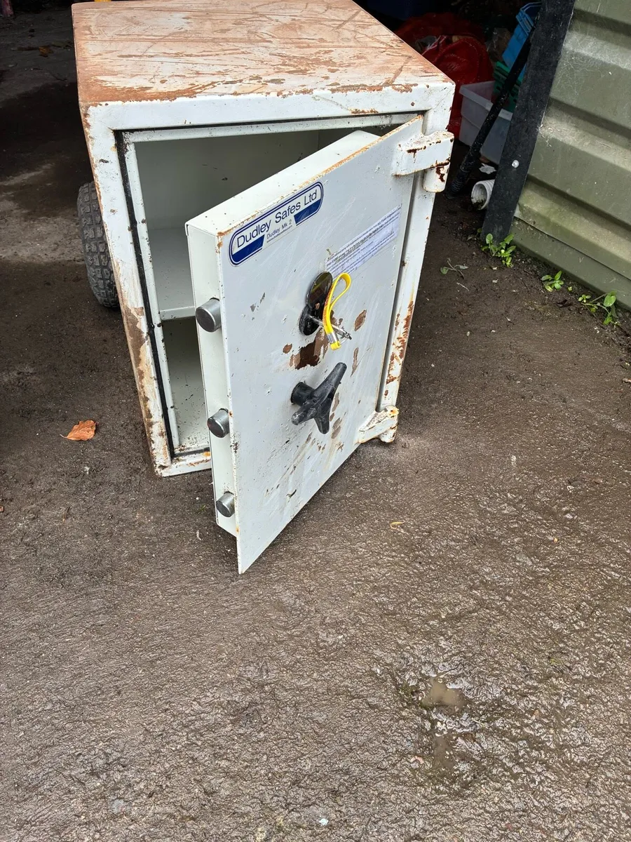 Safe - Image 3