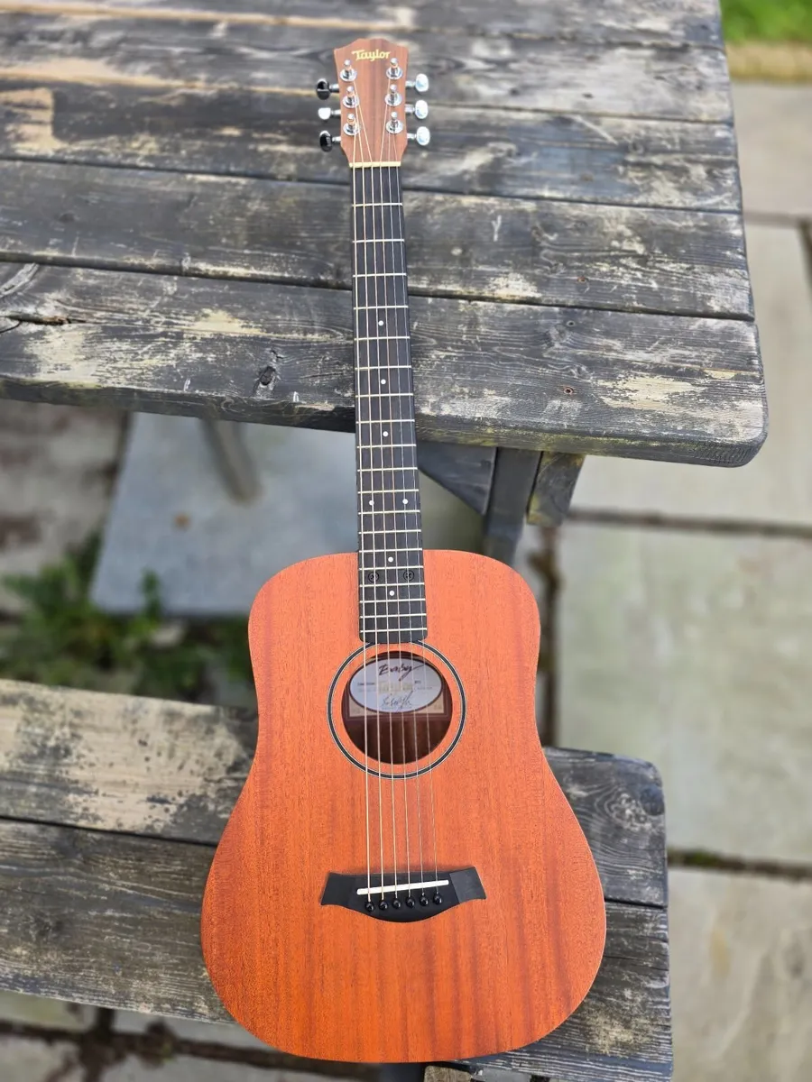 Taylor Baby Taylor BT2 Acoustic Guitar + Gig Bag - Image 1