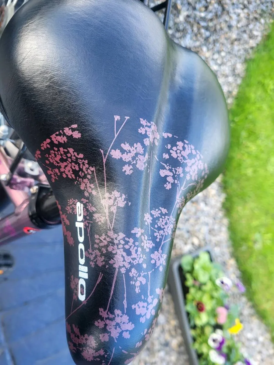 LOVELY LADIES BIKE LOCK N BASKET INCLUDED NO OFFE - Image 2