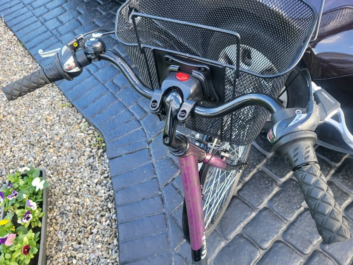 LOVELY LADIES BIKE LOCK N BASKET INCLUDED NO OFFE - Image 3