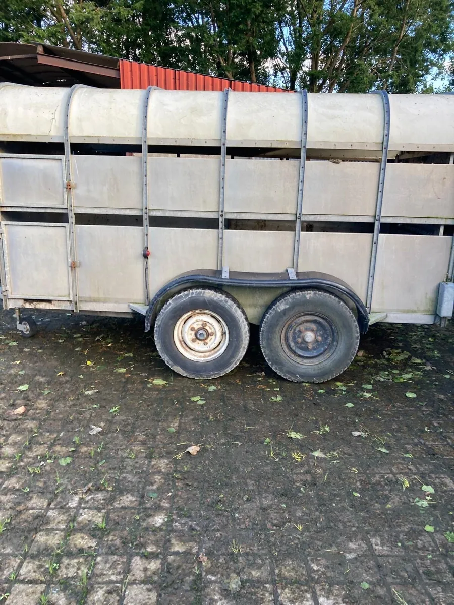 Nugent 12x6 cattle trailer - Image 1